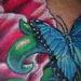 Tattoos - Peonie and a Blue Morpho Butterfly - 79436